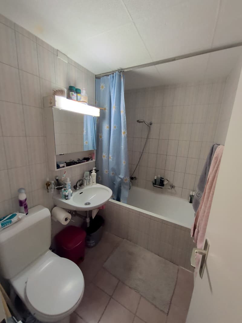 À louer ! un 2 pièces atypique, en duplex, proche de l'Hôpital de Sion ! (11)