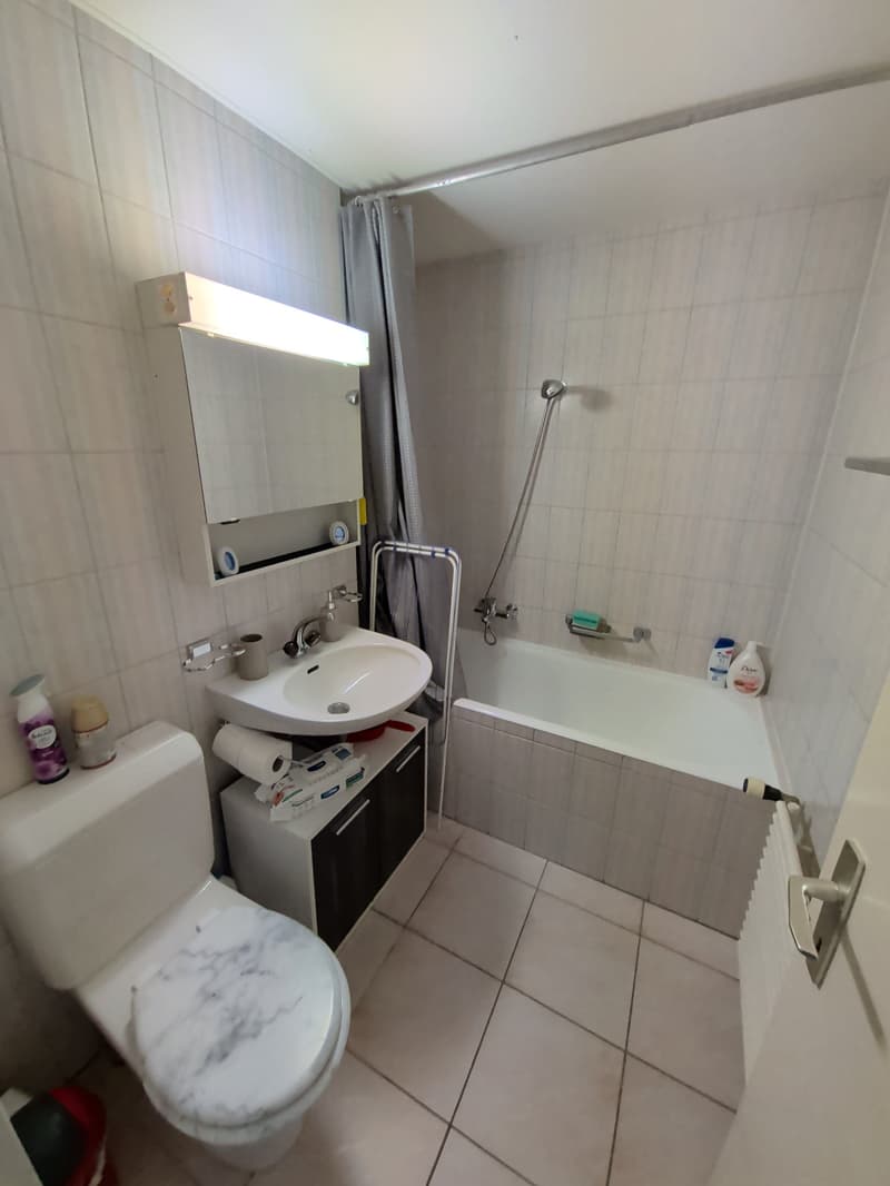 À louer ! un 2 pièces atypique, en duplex, proche de l'Hôpital de Sion ! (12)