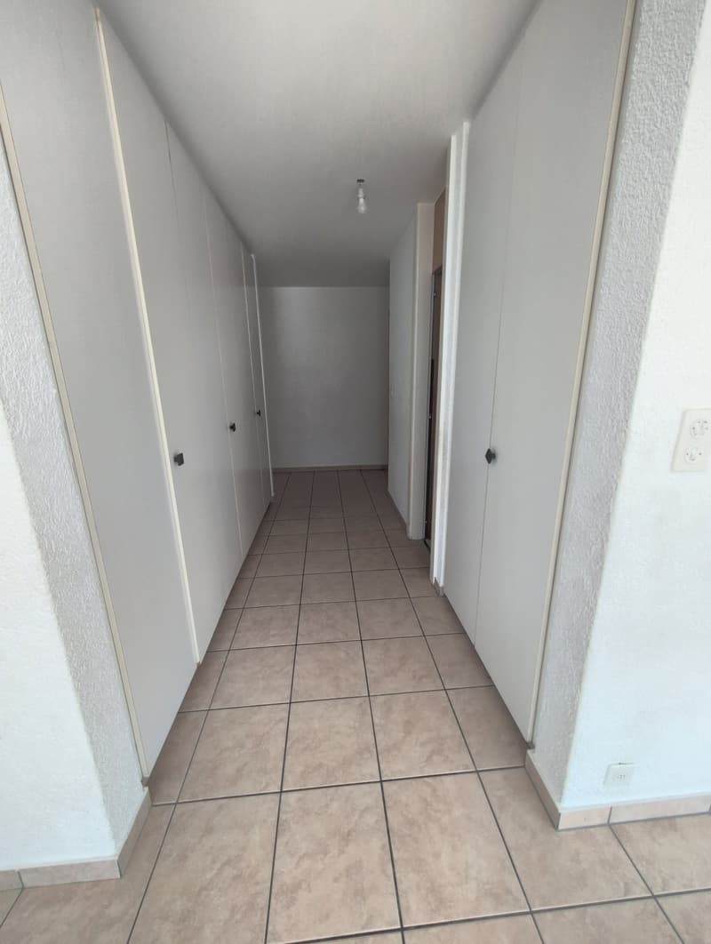 À louer ! Un spacieux appartement de 5 pièces 1/2, entouré de verdure, à l'entrée Ouest de Sion ! (8)