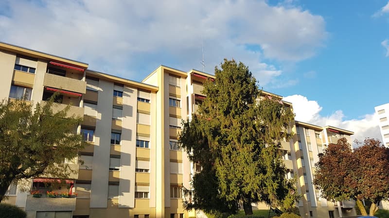 À louer, un charmant appartement de 3 pièces 1/2, à l'entrée Ouest de Sion ! (1)