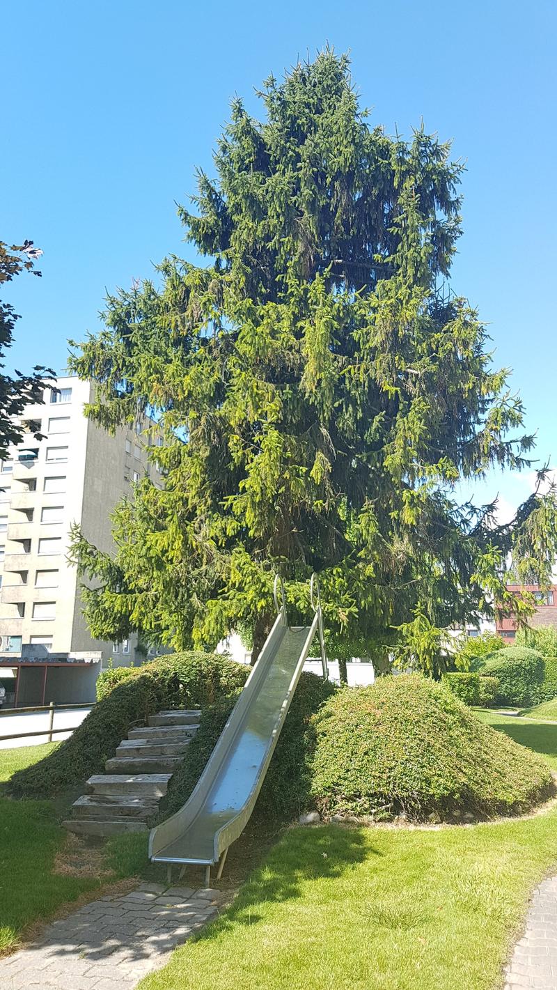 À louer, un charmant appartement de 3 pièces 1/2, à l'entrée Ouest de Sion ! (16)