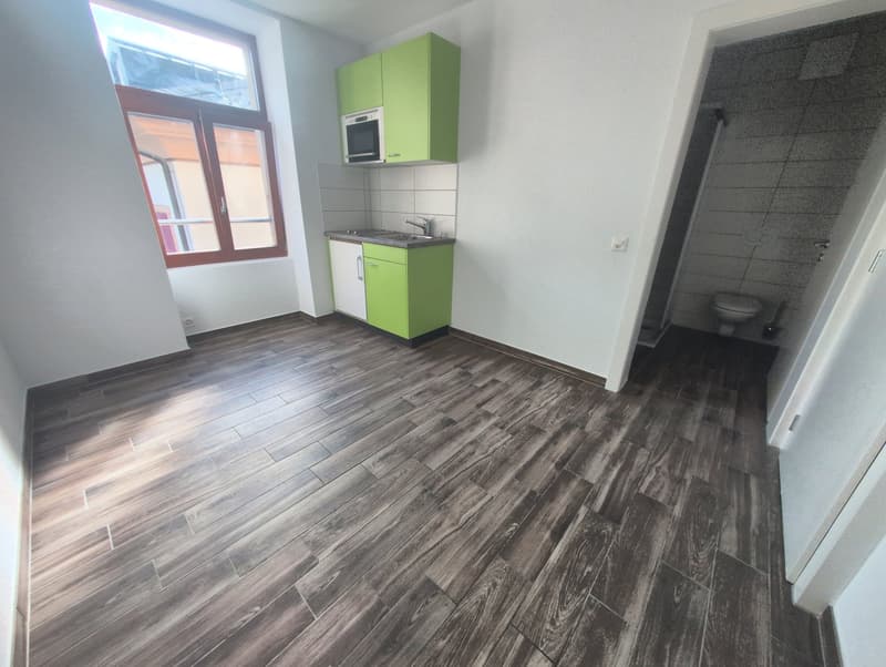 À louer, dans la rue du Bourg à Sierre, un petit studio de 14 m2 ! (4)