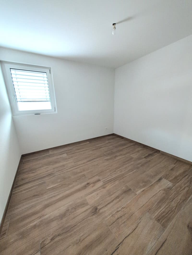 Belle opportunité ! Très bel appartement de 3 pièces 1/2, avec terrasse, à louer à Saxon ! (8)