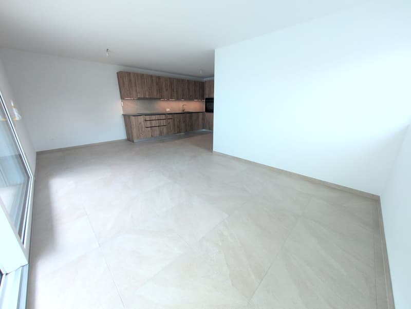 Belle opportunité ! Très bel appartement de 3 pièces 1/2, avec terrasse, à louer à Saxon ! (4)