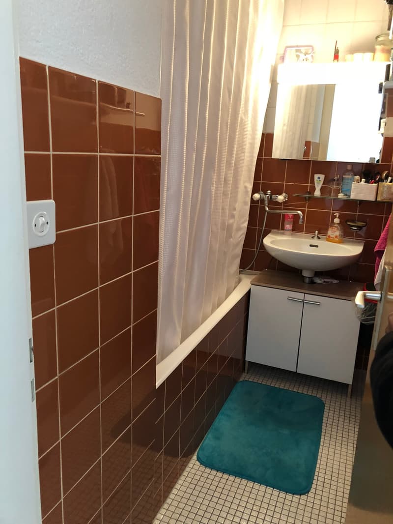 À louer ! Un charmant appartement de 4 pièces 1/2, à l'entrée Ouest de Sion ! (11)