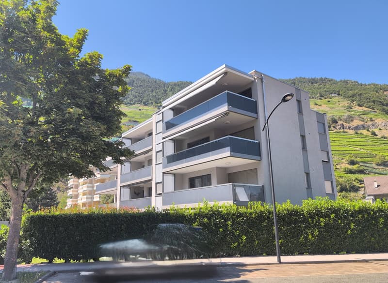 Perle rare ! Magnifique 4.5 pces, avec terrasse et pelouse privative, à louer à Martigny ! (12)