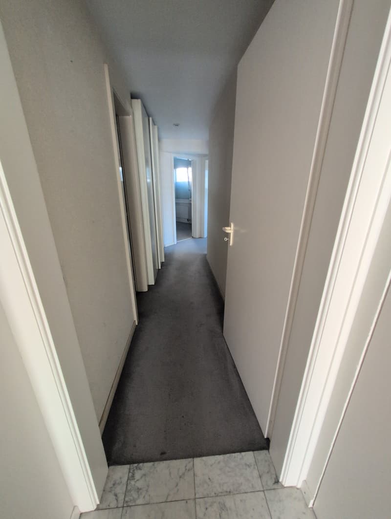 Petit bijou ! À louer, bel appartement de 4.5 pièces avec balcons, EN COURS DE RENOVATION, à Sion ! (14)