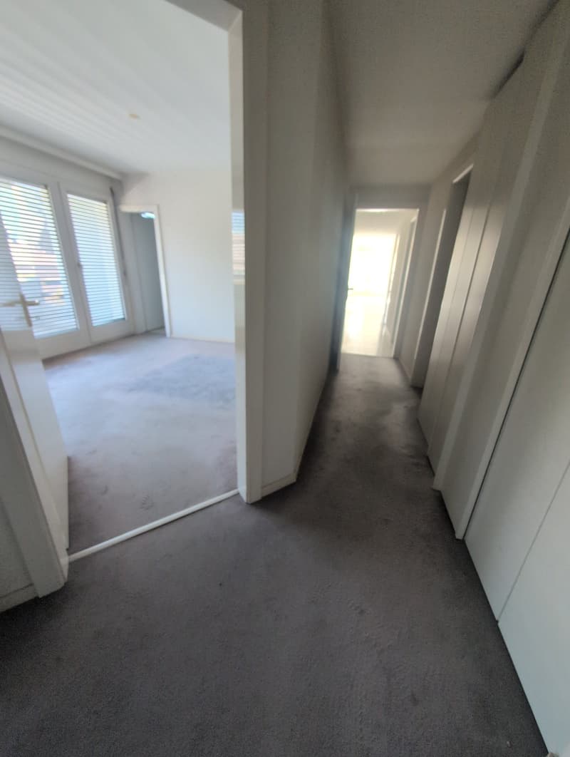 Petit bijou ! À louer, bel appartement de 4.5 pièces avec balcons, EN COURS DE RENOVATION, à Sion ! (15)