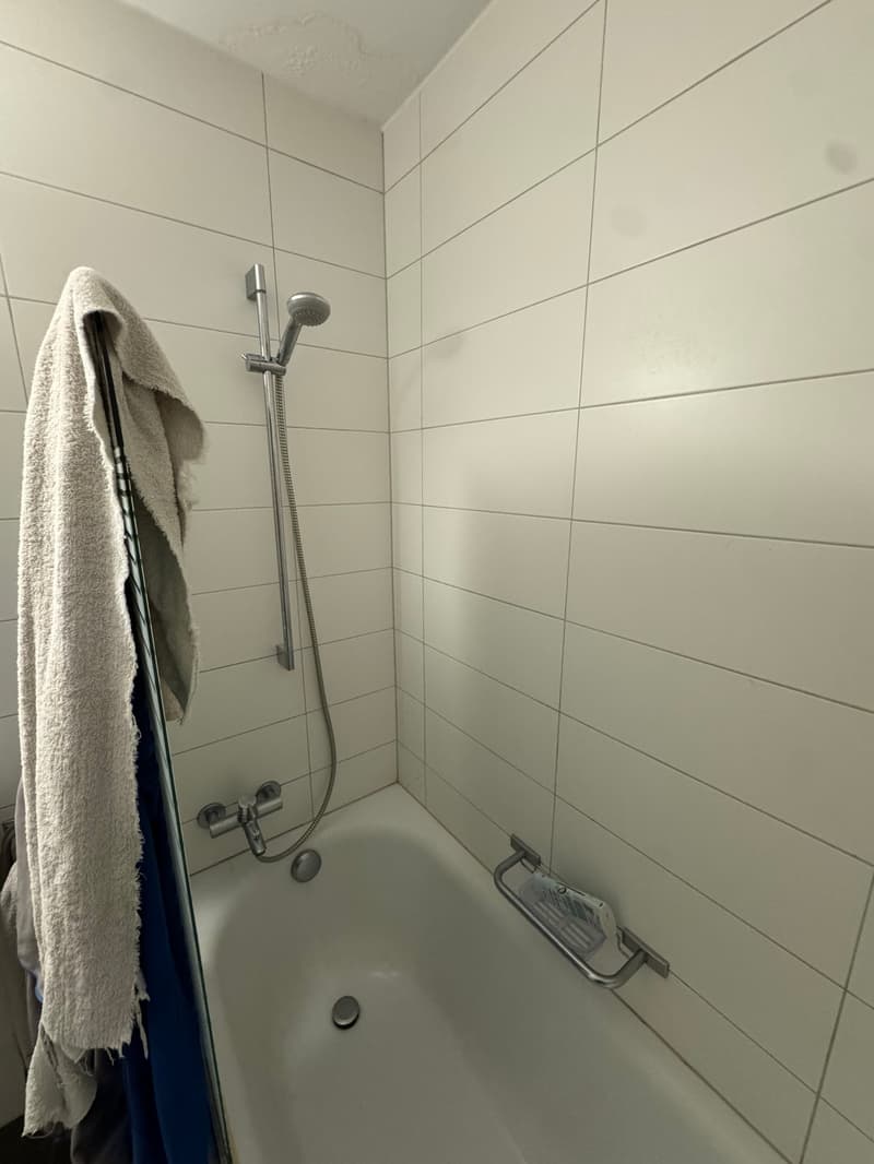 À louer, un bel appartement de 2 pièces 1/2, en plein coeur de Sierre ! (9)