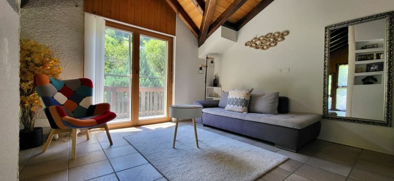 Propriété de caractère composée de 3 appartements (19)