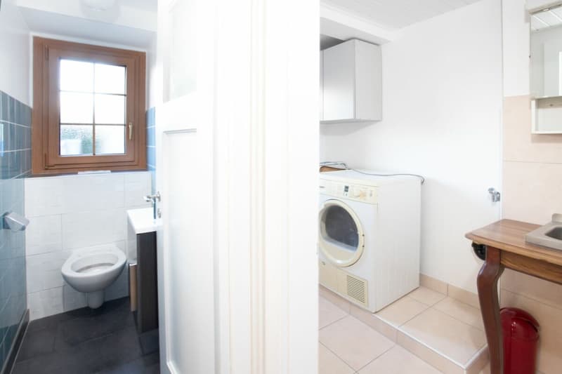 3 pièces dans un quartier calme du "Vieux village avec place de parc (7)