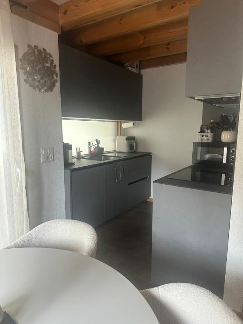 MINERGIE - 3 pièces en triplex avec terrasse et parking (3)
