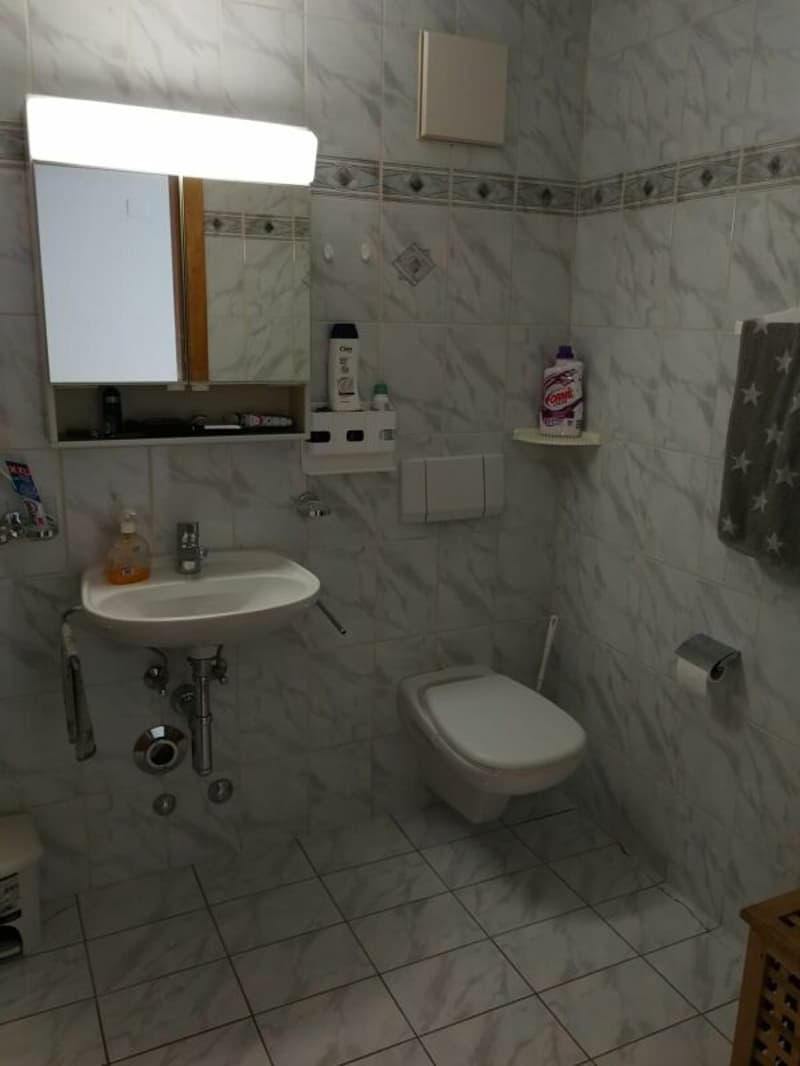 spacieux 2.5 pces centre du village avec place de parc (10)