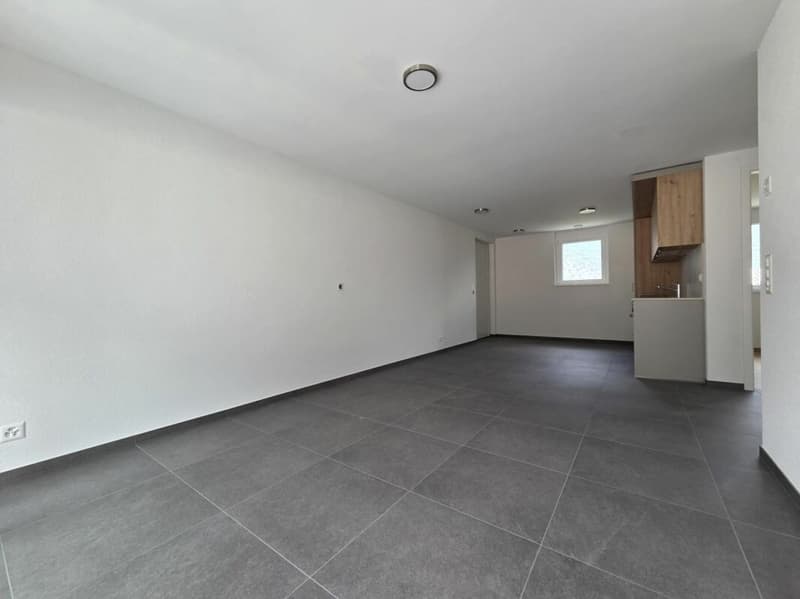 Neuf - Appartement de 3.5 pièces avec balcon et places de parc (2)
