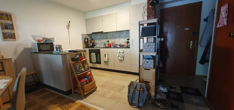 RENOVE - spacieux 3.5 pces avec place de parc dans un quartier tranquille (2)