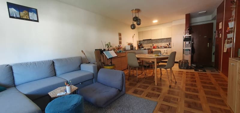 RENOVE - spacieux 3.5 pces avec place de parc dans un quartier tranquille (4)