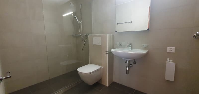 RENOVE - spacieux 3.5 pces avec place de parc dans un quartier tranquille (13)