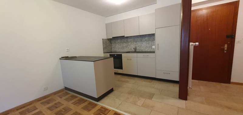 RENOVE - spacieux 3.5 pces avec place de parc dans un quartier tranquille (3)