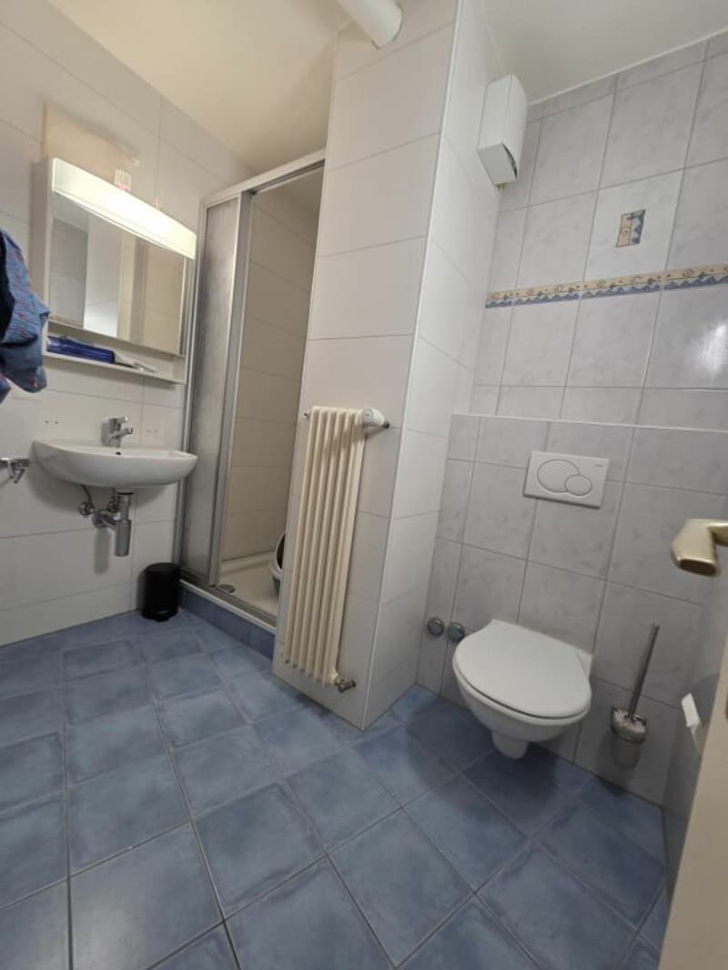 spacieux 2.5 pces en attique avec place de parc extérieure (7)