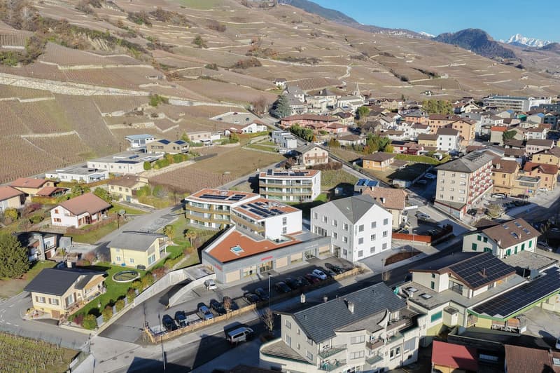 cluster of residential buildings on a hillside overlooking a vineyard