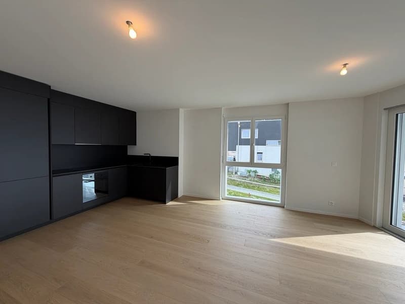 modern kitchen with black cabinets, wooden floor, large window, modern lighting