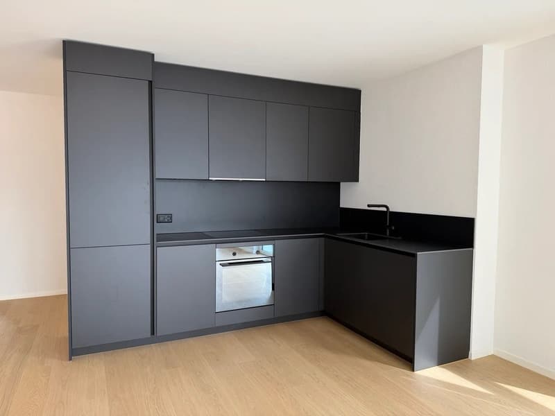 modern kitchen with black cabinets, wooden floor, built-in oven, sink, faucet, power outlet