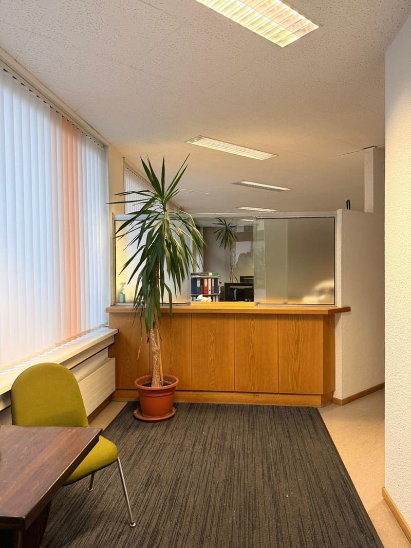 empty room, wooden desk, green chair, potted plant, wooden counter, glass partition, white blinds, ceiling lights