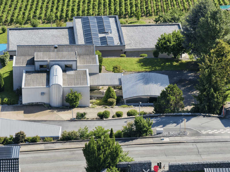 Superbe villa à vendre à Savièse (7)