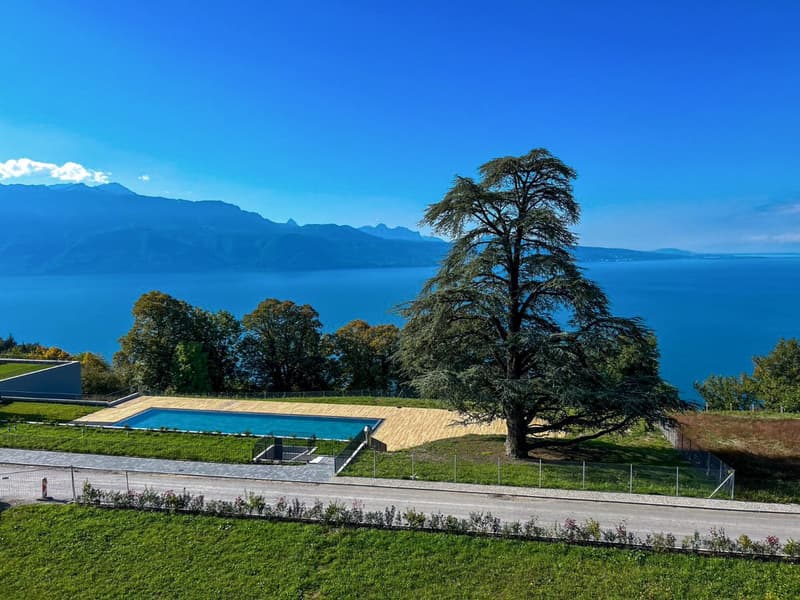 Magnifique 3 1/2 pièces à Puidoux-Chexbres avec vue sur Lac Léman (9)
