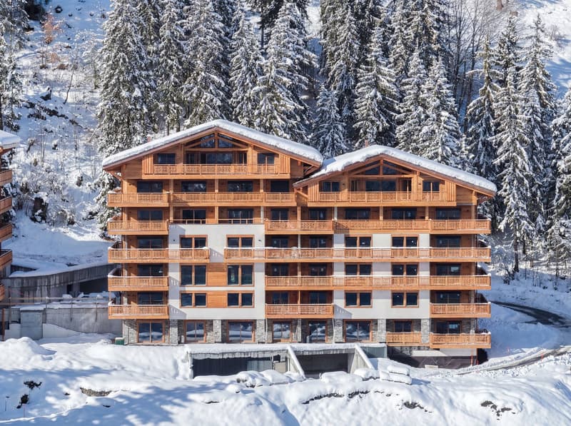 4.5 pièces neuf dans ‘’Le Guépard’’ en résidence secondaire (4)