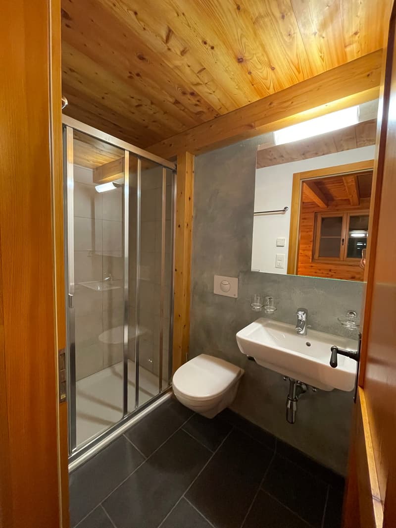 Appartement 5.5 pièces en triplex entièrement rénové, vendu meublé – Les Marécottes (10)