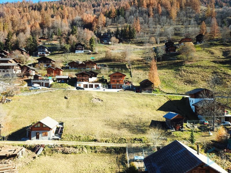 Vue drone / Drohnen-Ansicht / Drone view