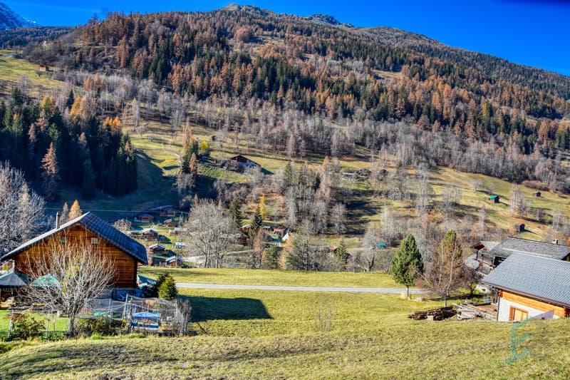 Vue Ouest / West-Ansicht / West view