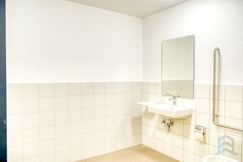 Halle industrielle Sierre - WC femmes / Industriehalle Sierre - Frauen-WC / Halle industrielle Sierre - WC for women