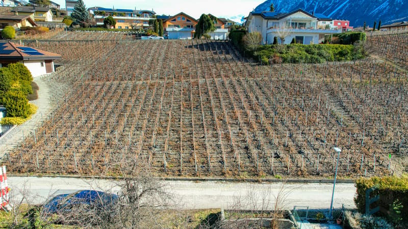 Terrain à bâtir Miège  / Baugrundstück Miège / Building plot Miège