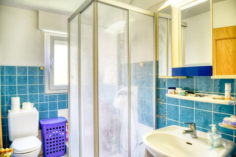 Appartement Veyras - Salle de douche / Wohnung Veyras - Duschraum / Appartement Veyras - Shower room