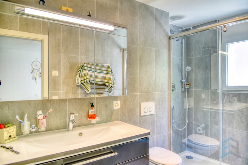 Appartement Sierre - Salle de douche / Appartement Sierre - Duschraum / Appartement Sierre - Shower room