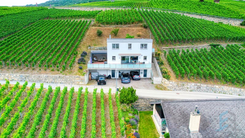 Villa Sierre - Vue extérieure / Villa Sierre - Außenansicht / Villa Sierre - Exterior View