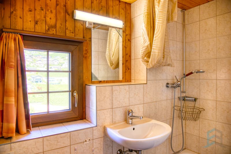 Maison villageoise - Salle de douche 2 / Dorfhaus - Duschbad 2 / Village House - Shower Room 2