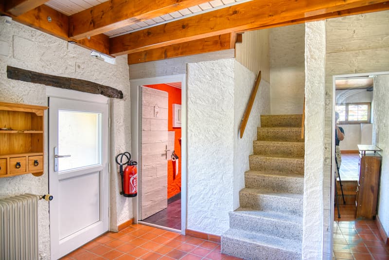 Maison villageoise - Hall d'entrée / Dorfhaus - Eingangshalle / Village House - Entryway