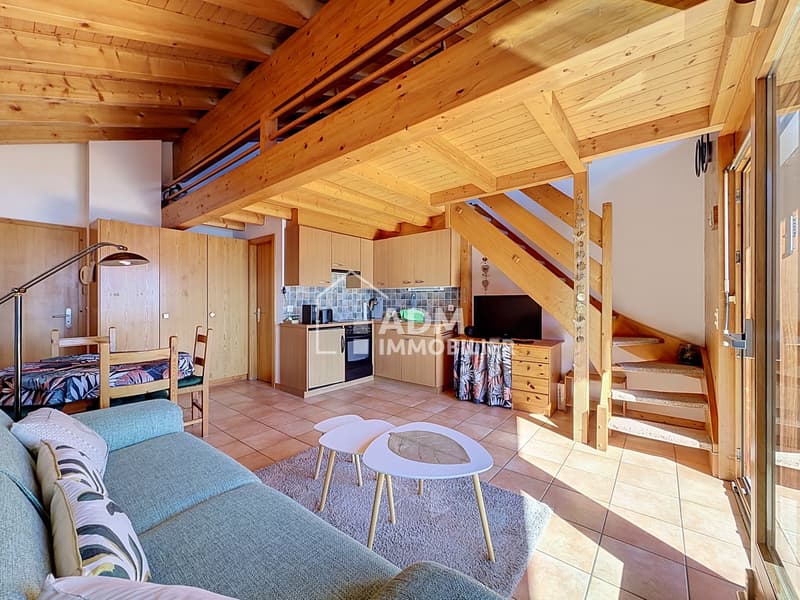 Appartement de 2 pièces avec mezzanine aux pieds des pistes (2)