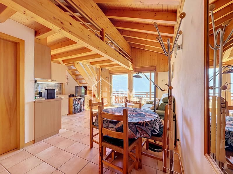 Appartement de 2 pièces avec mezzanine aux pieds des pistes (1)