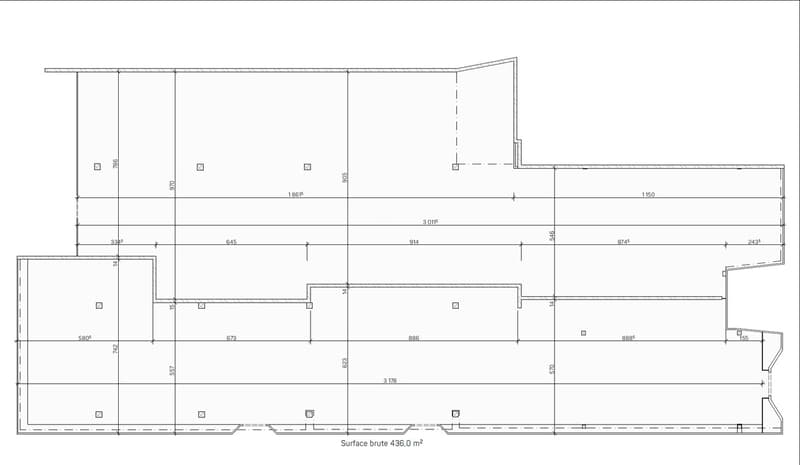 Local commercial 430m2 rue commerçante (3)