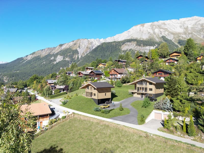 Chalet individuel 6.5 pièces - Résidence principale - Vue & soleil (3)