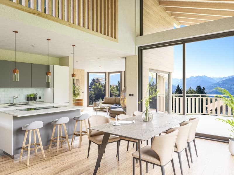 Chalet individuel 6.5 pièces - Résidence principale - Vue & soleil (4)