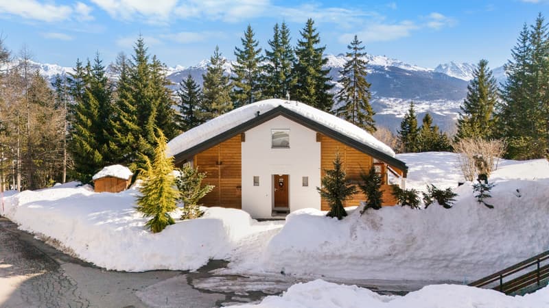 Chalet contemporain à deux pas du centre, en résidence secondaire. (10)