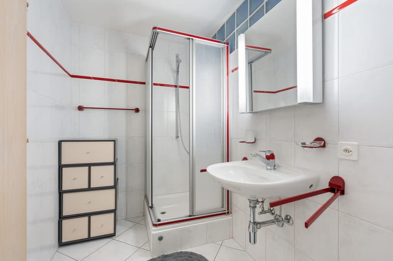 Chalet contemporain à deux pas du centre, en résidence secondaire. (13)