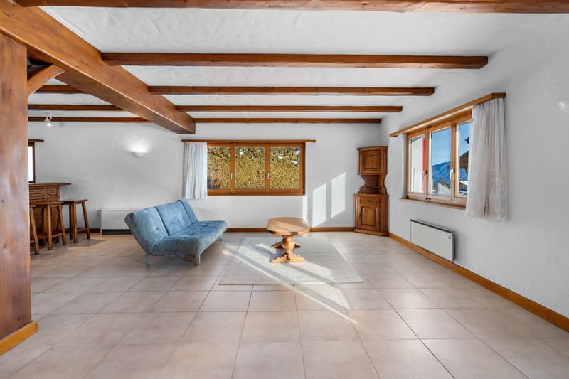 Appartement en rez-de-jardin en résidence secondaire (2)