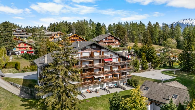 Lot de 2 studios en PPE dans quartier résidentiel calme (7)