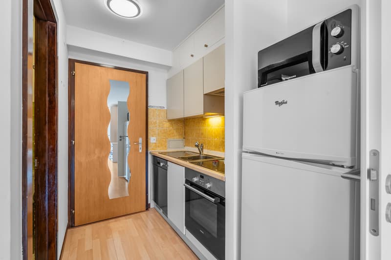 Lot de 2 studios en PPE dans quartier résidentiel calme (4)